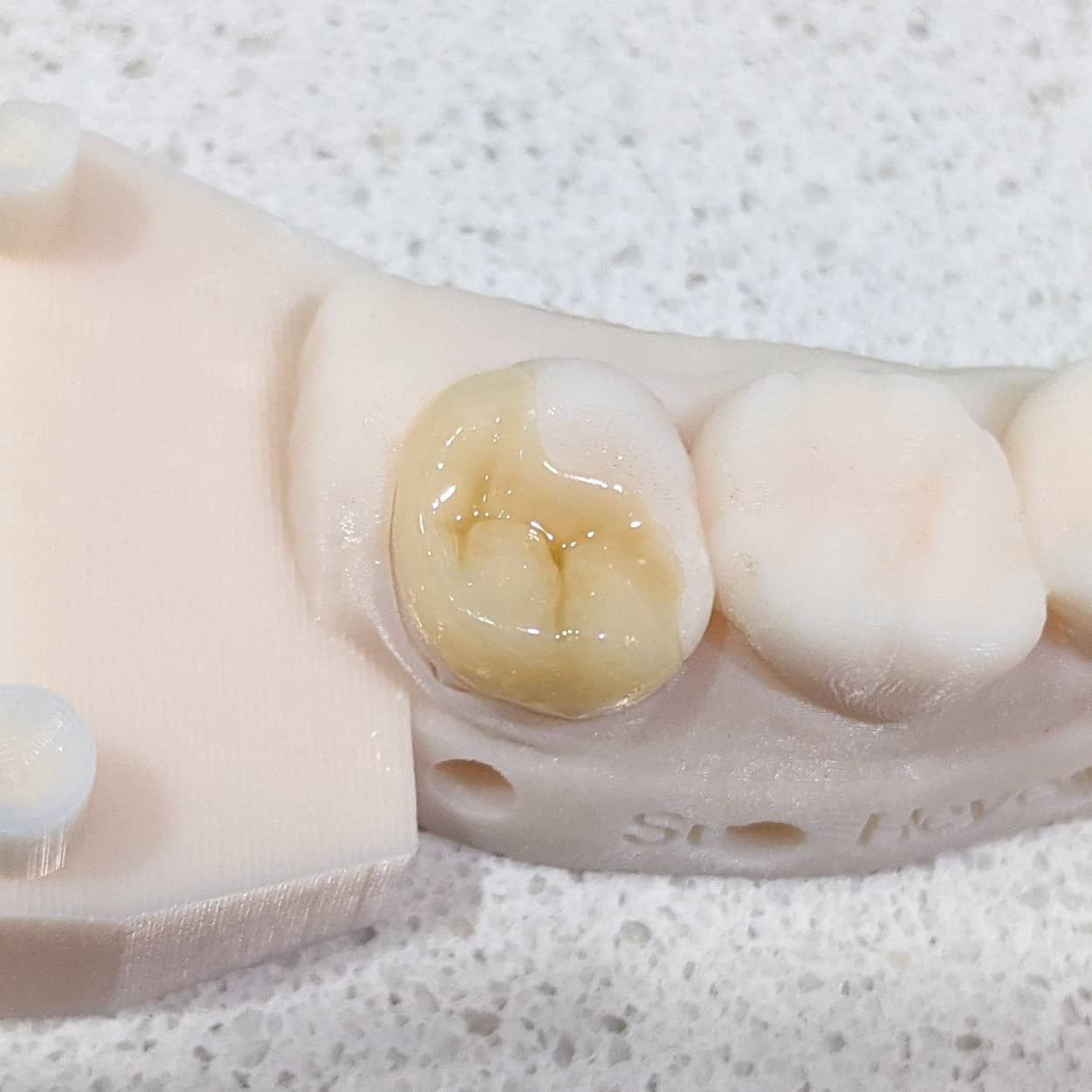 (Fully Booked) 3D Print Training Course - Screw It, I'll Just 3D Print It! (ADA NSW CPD)