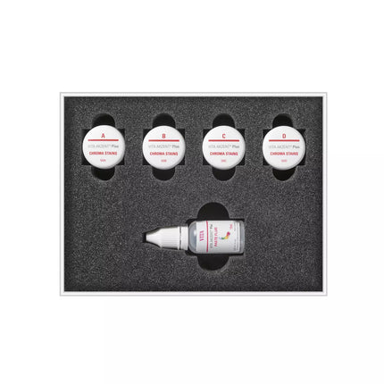 VITA AKZENT® Plus CHROMA STAINS PASTE KIT - classical