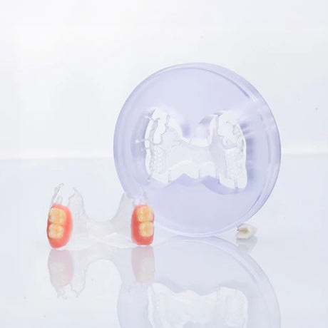 NOBILCAM Flexible Nylon Clear / Pink