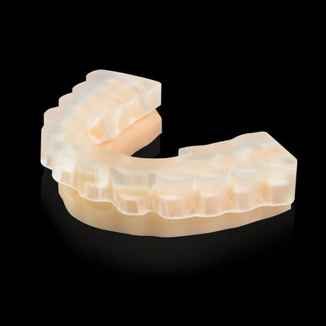 Rodin™ Ortho IBT (1kg)