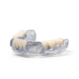 Rodin™ BioArch RPD (1kg)