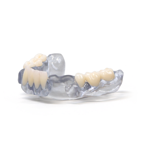 Rodin™ BioArch RPD (1kg)