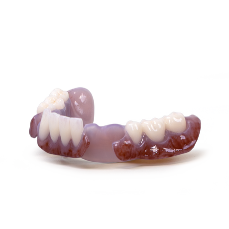 Rodin™ BioArch RPD (1kg)