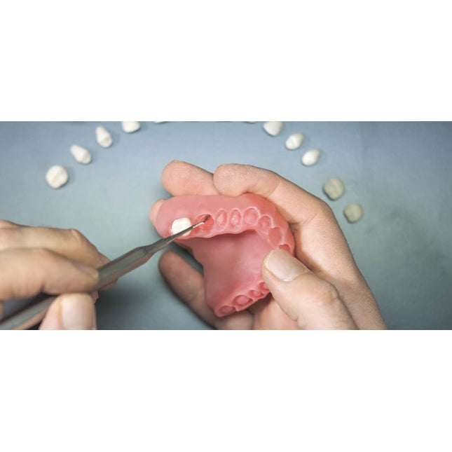 PowerResins - Denture Resin