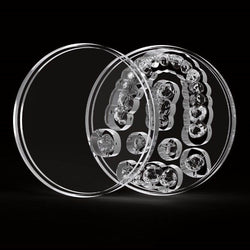 Aidite High Transparent Clear Splint PMMA 98.5 x 18mm